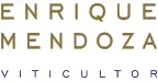 Enrique Mendoza.webp